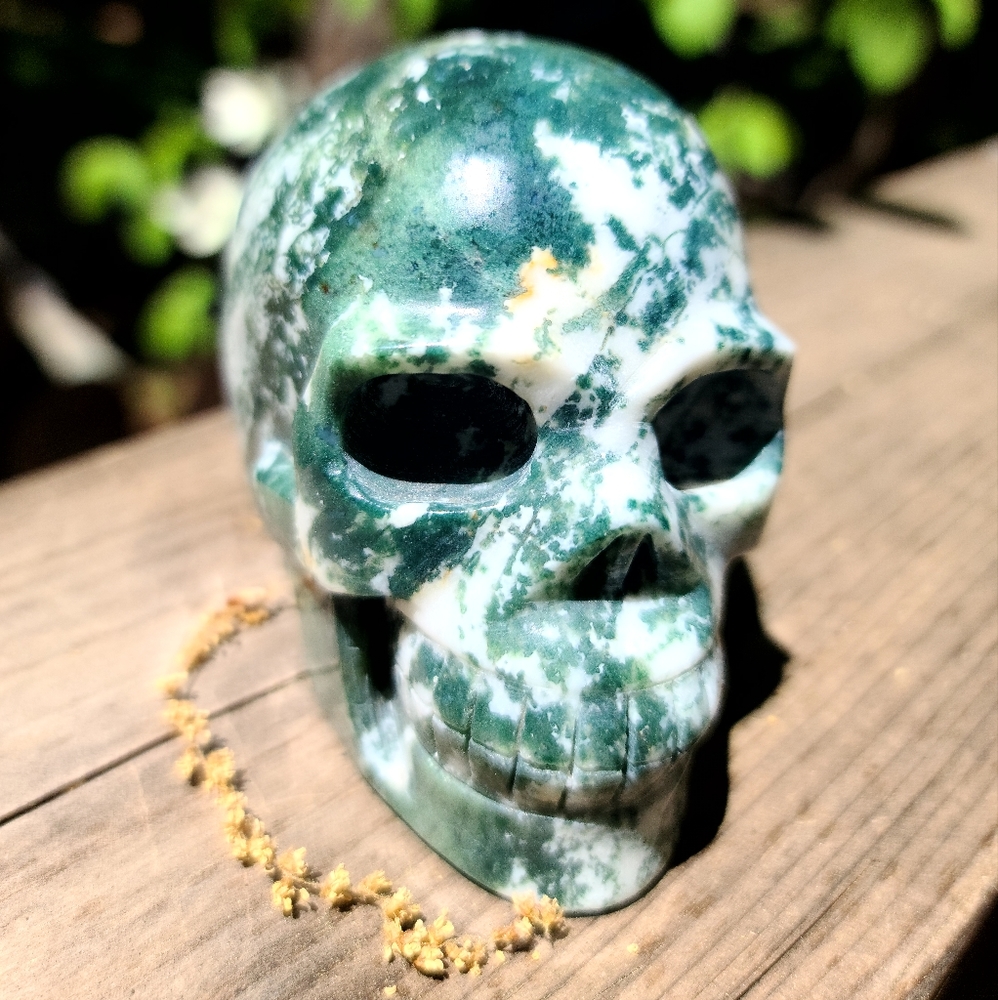 Green moss agate 💀 skull
